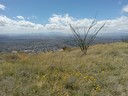 Tucson Overlook