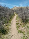 Foothills Loop Trail