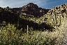 [Bear Canyon Trail Scene]