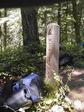 Rest Stop