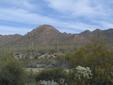 Saguaro Field
