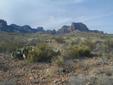 Chihuahuan Desert