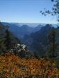 Widforss Trail