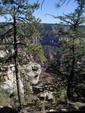 Widforss Trail