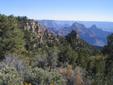 Widforss Point View