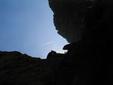 Contrail