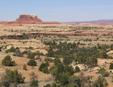 Canyonlands Scenery
