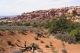 Campsite Surroundings II
