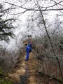 Under Icy Trees