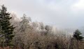 Newfound Gap