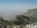 Looking West