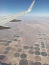 Irrigated Lands