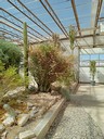 Succulents of the World Greenhouse