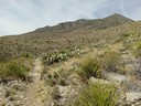 More Trail Views
