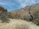 Tejas Trail