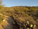 Late Afternoon Hike