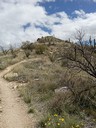 Blackett's Ridge Trail