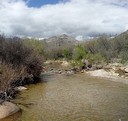 Sabino Creek Bridge