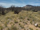 Kartchner Caverns State Park